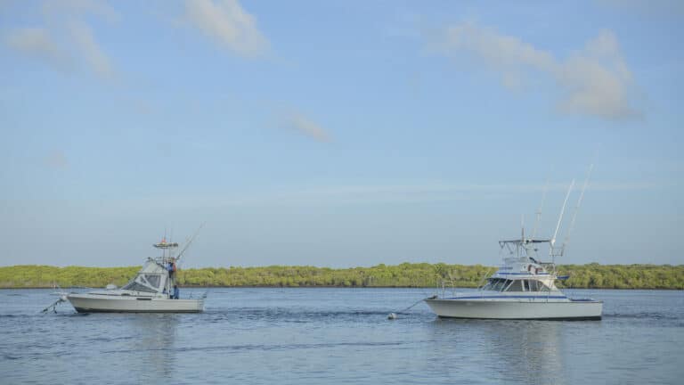 boats_new-3