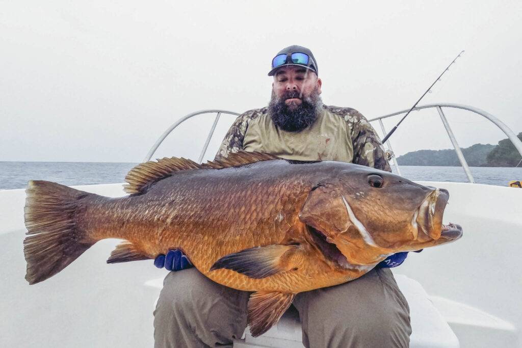 Cubera Snapper gefangen im Pazifik in Kolumbien
