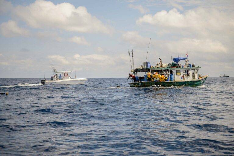 angelreise-panama-34