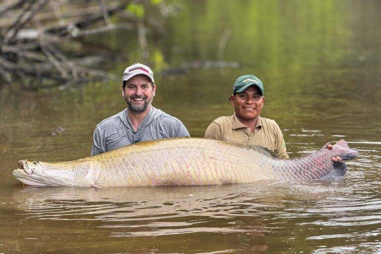 arapaima-angelreise-105
