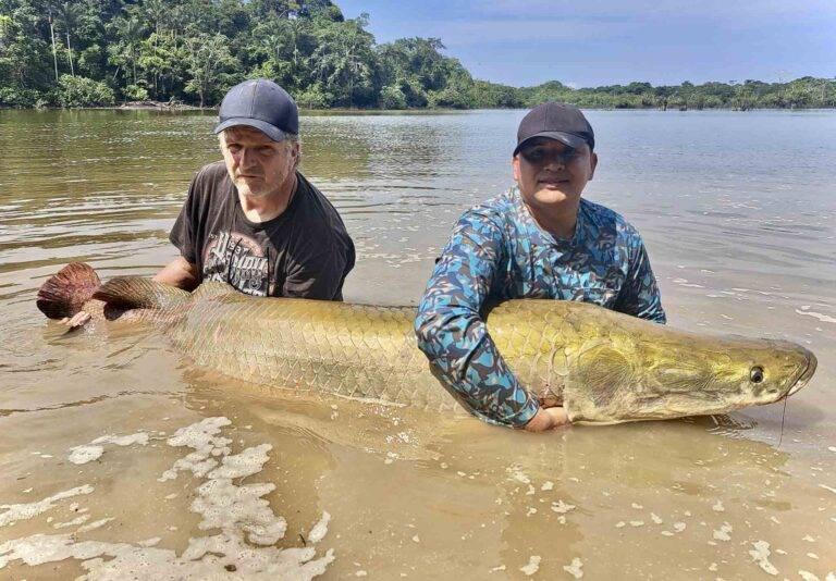 arapaima-angelreise-112
