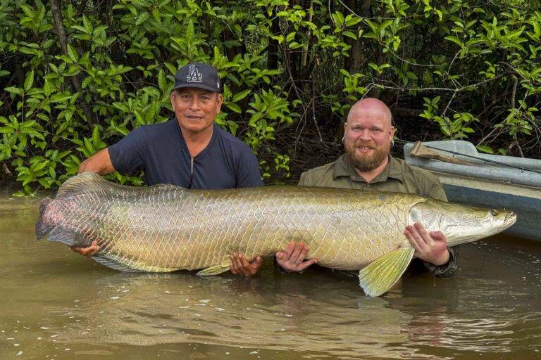 arapaima-angelreise-114