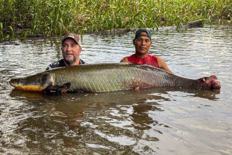 arapaima-angelreise-118