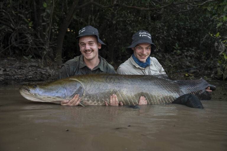 arapaima-angelreise-127