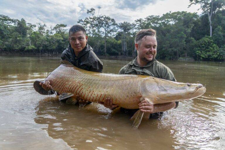 arapaima-angelreise-138