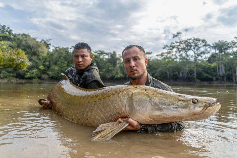 arapaima-angelreise-139