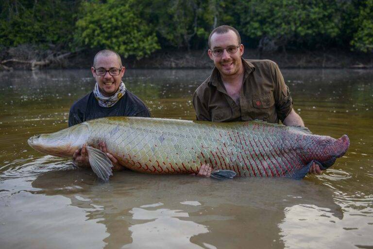 arapaima-angelreise-16