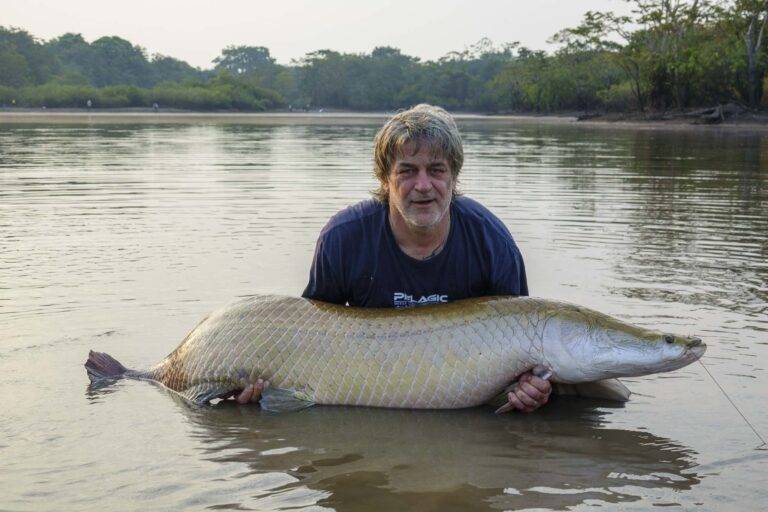 arapaima-angelreise-32
