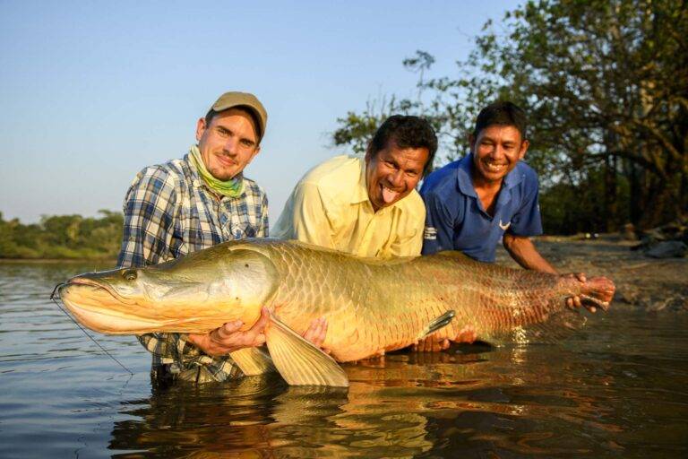 arapaima-angelreise-34