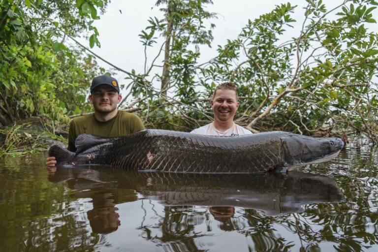 arapaima-angelreise-58