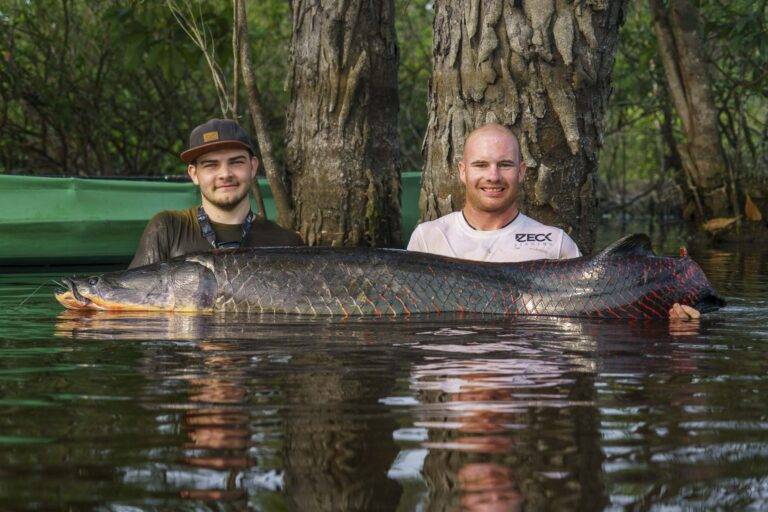 arapaima-angelreise-64