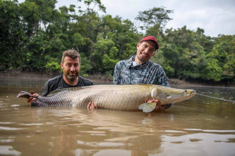 arapaima-angelreise-71