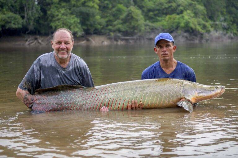 arapaima-angelreise-75