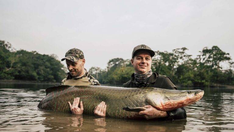 arapaima-angelreise-84