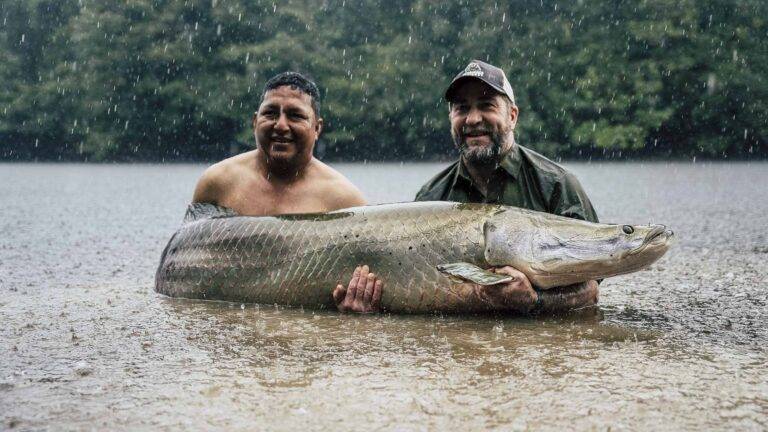 arapaima-angelreise-97