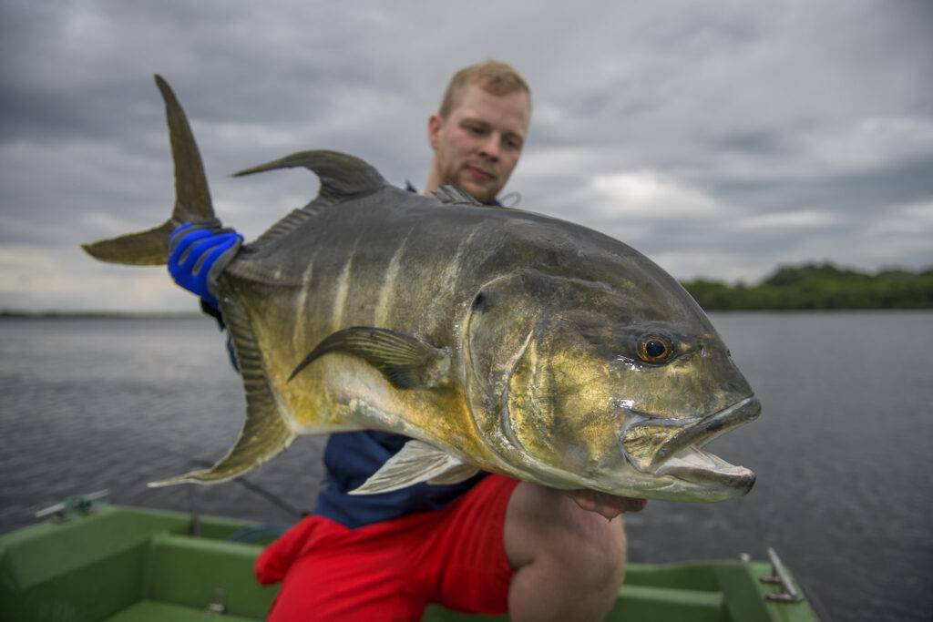 Longfin Jack gefangen in der Ndogo Lagune in Gabun
