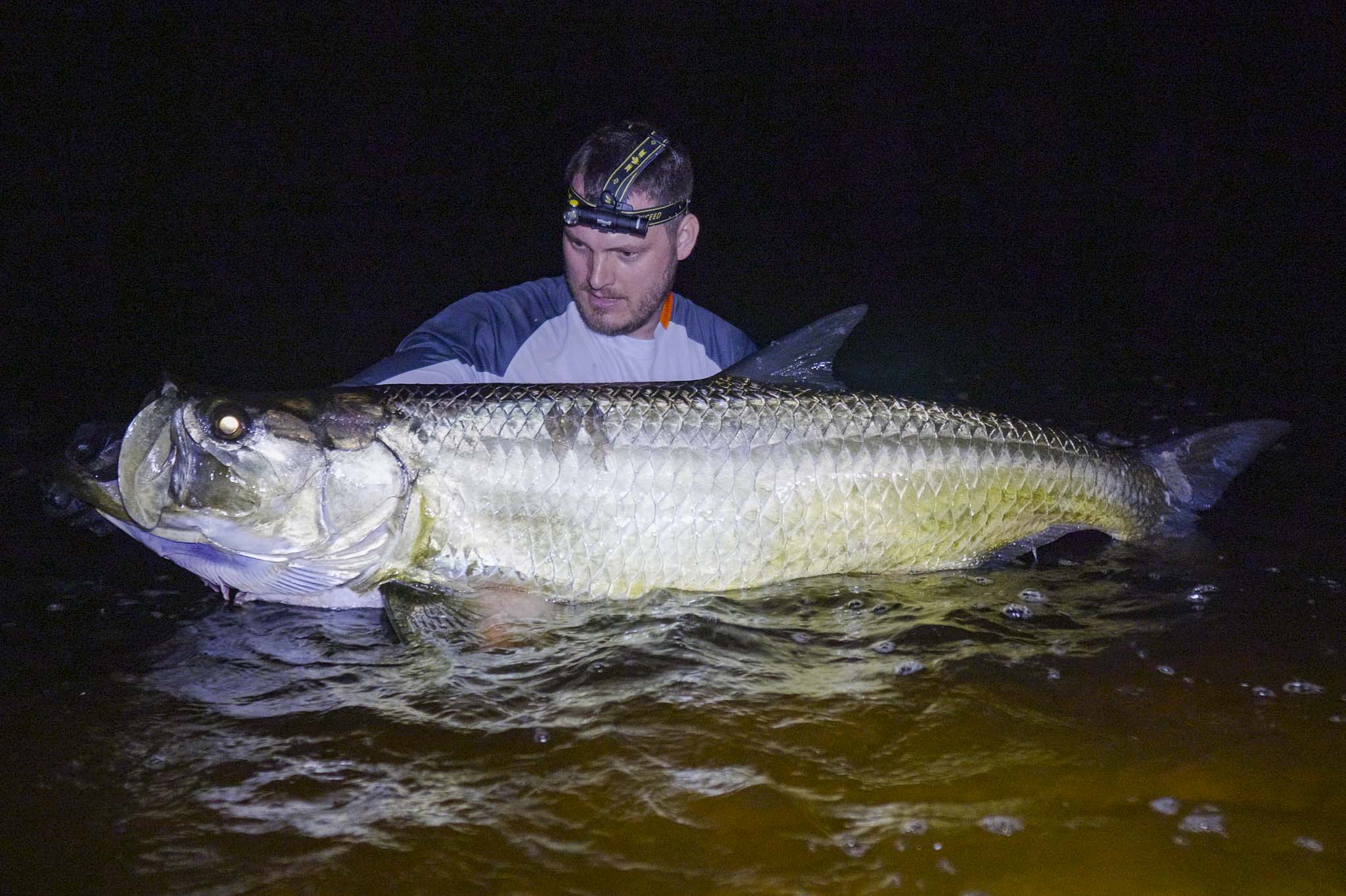 Afrikanischer Tarpon gefangen in Sette Cama in Gabun