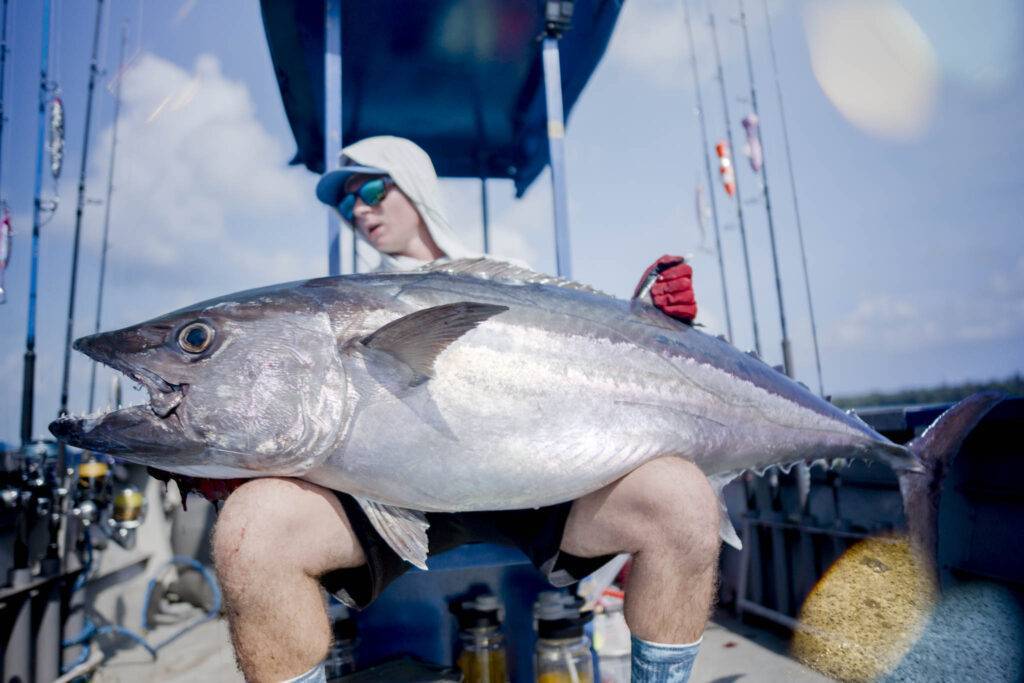 Dogtooth Tuna gefangen in Lucipara, Indonesien