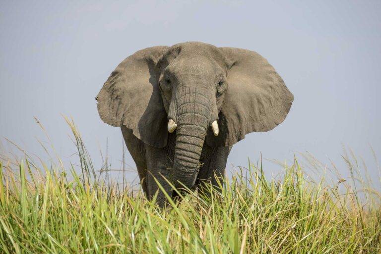 uganda-angelreise-34