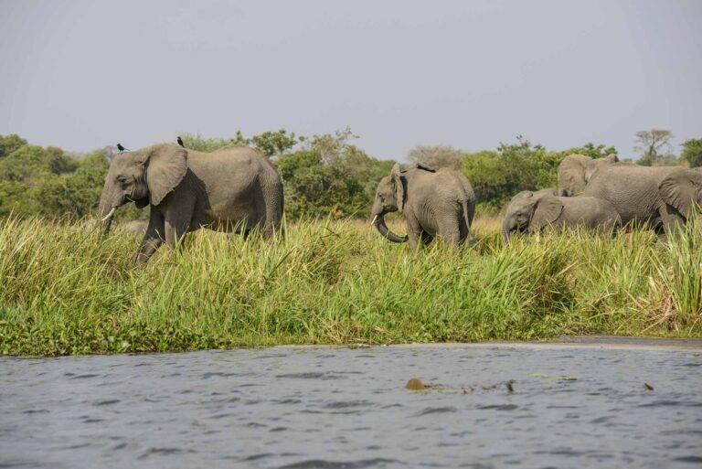 uganda-angelreise-35