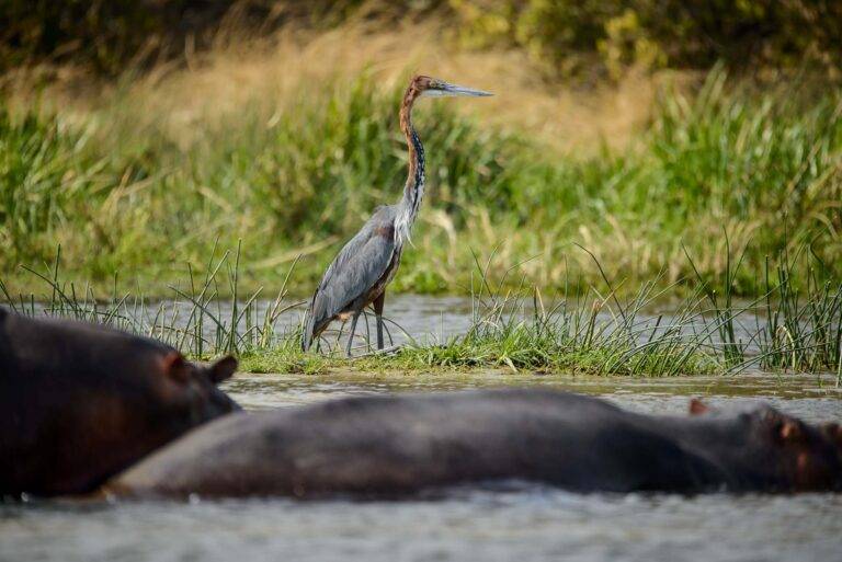 uganda-angelreise-36