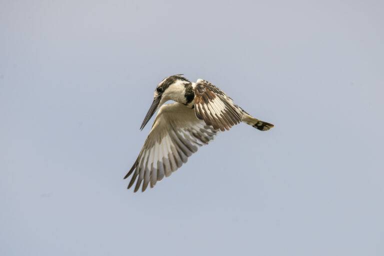 uganda-angelreise-38