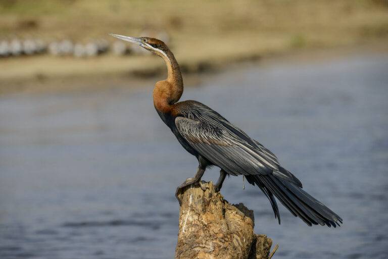 uganda-angelreise-39