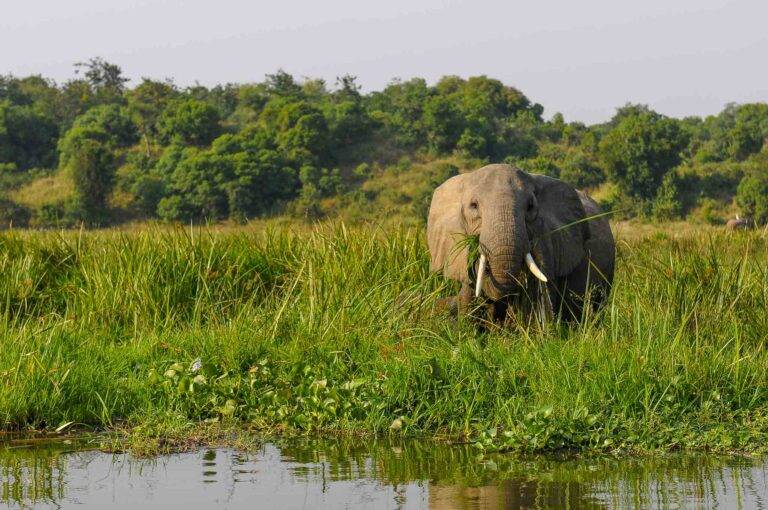uganda-angelreise-4