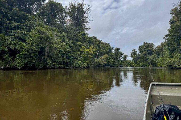 angeln-suriname-106