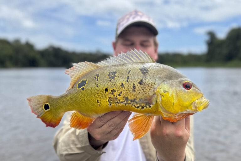angeln-suriname-107
