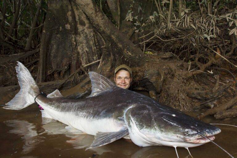 angeln-suriname-39