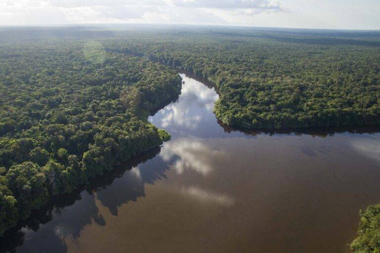 angeln-suriname-57