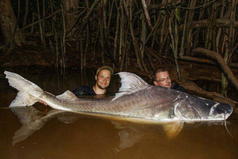 angeln-suriname-77