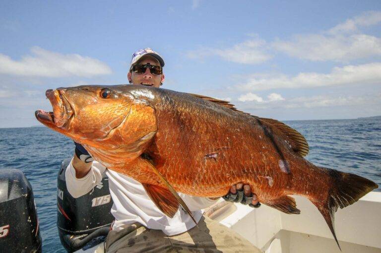 angelreise-panama-43