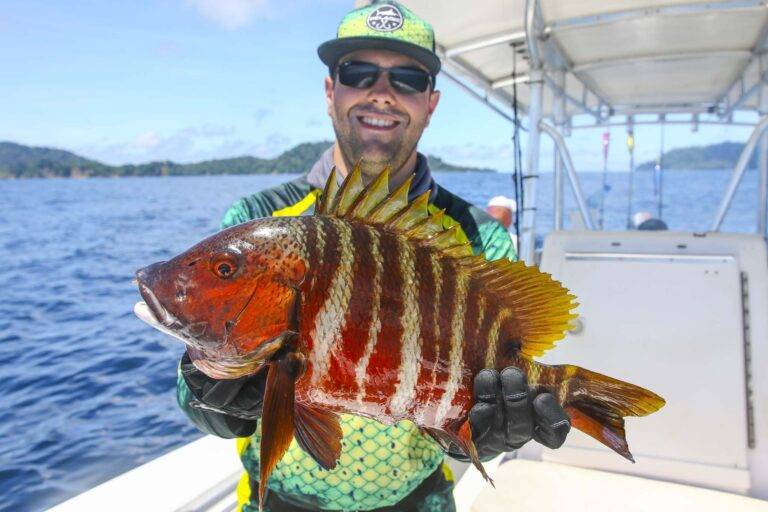 angelreise-panama-84