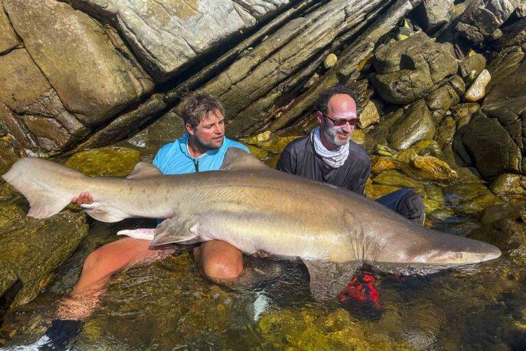 angelreise-suedafrika-26
