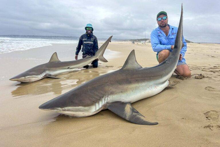 angelreise-suedafrika-28