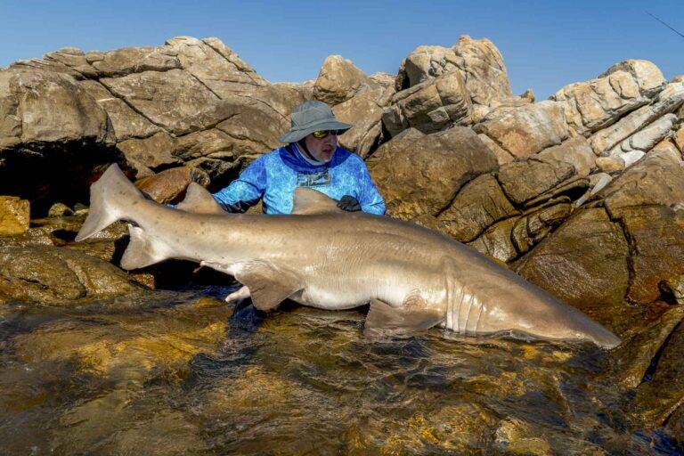 angelreise-suedafrika-39