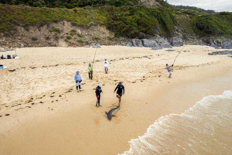 angelreise-suedafrika-48