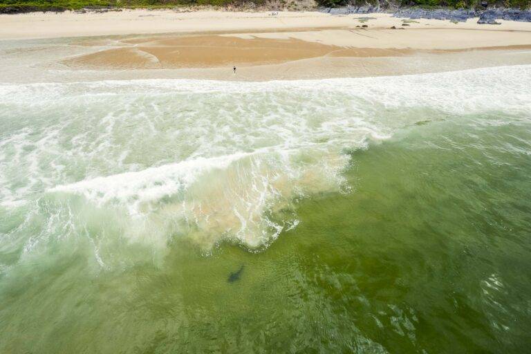 angelreise-suedafrika-49