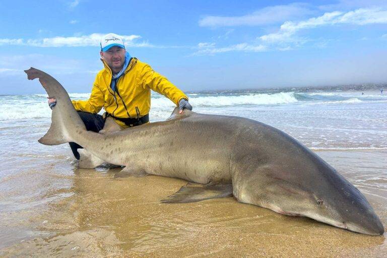 angelreise-suedafrika-6