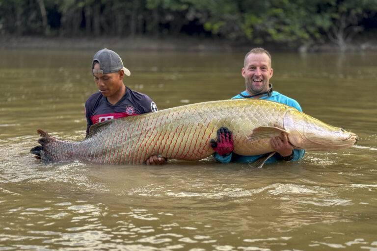 arapaima-angelreise-111