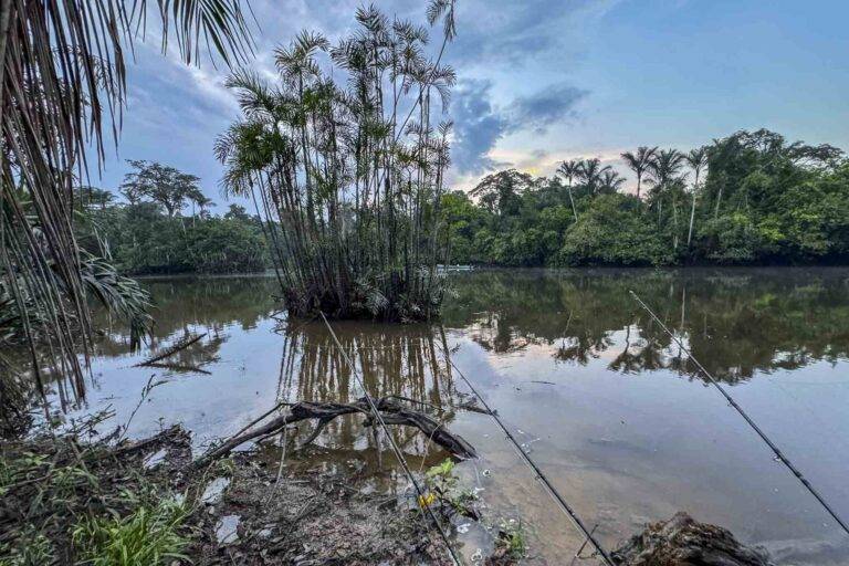 arapaima-angelreise-116