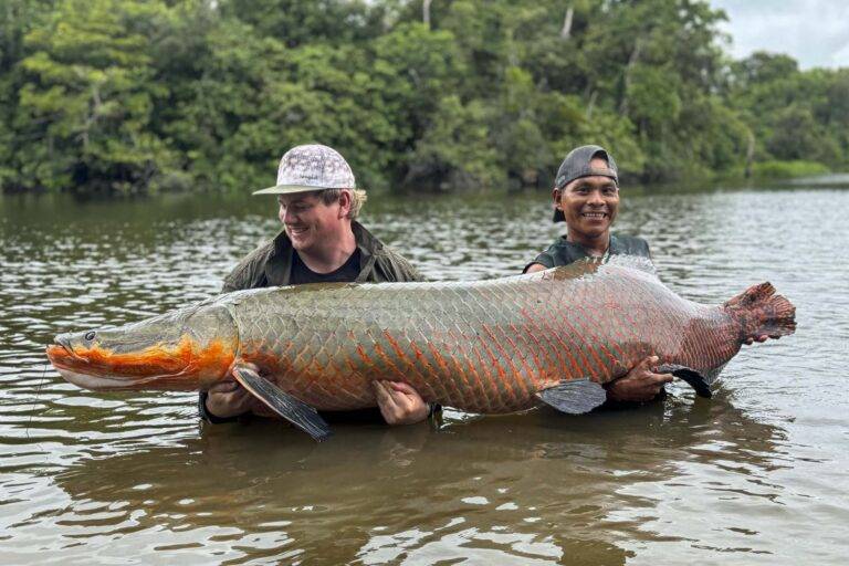 arapaima-angelreise-119