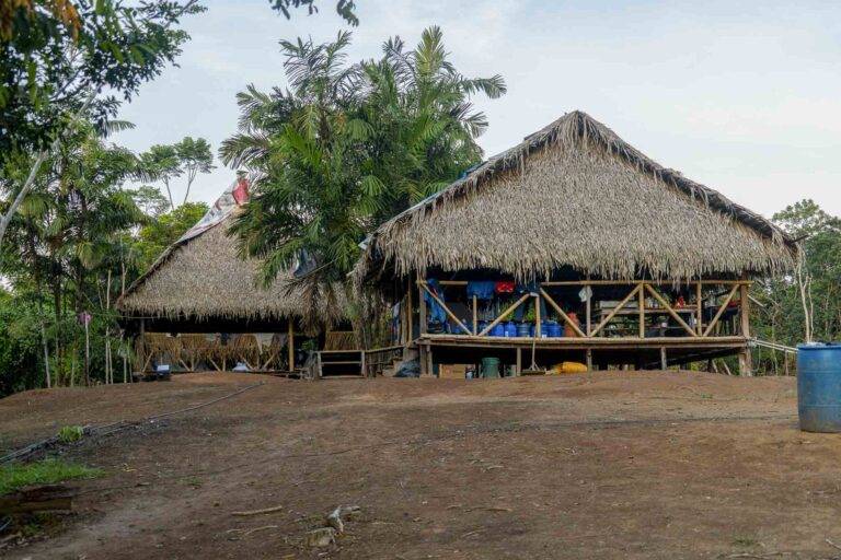 arapaima-angelreise-137