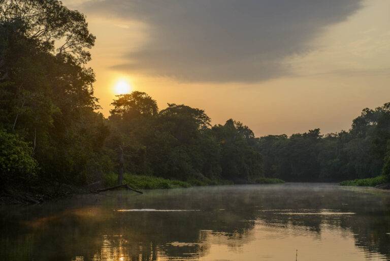 arapaima-angelreise-15