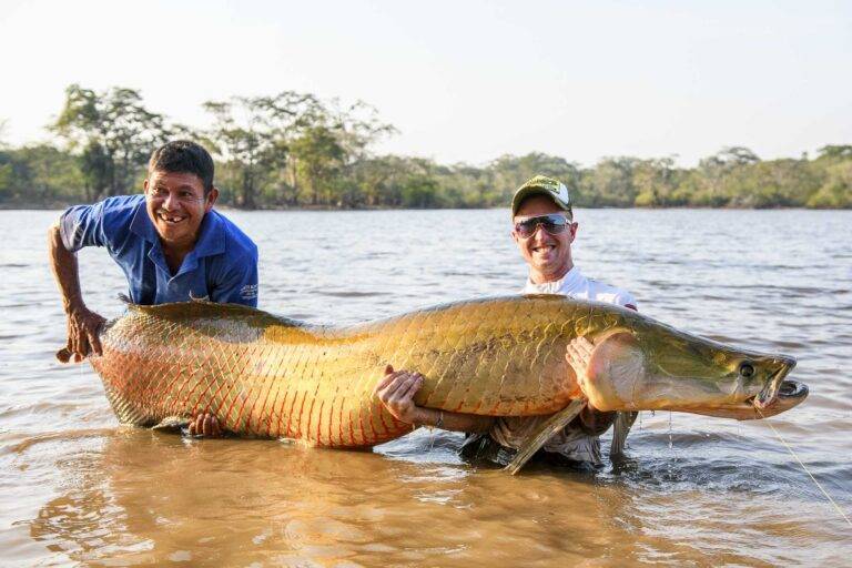 arapaima-angelreise-33