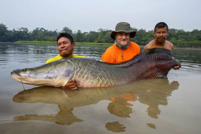 arapaima-angelreise-42