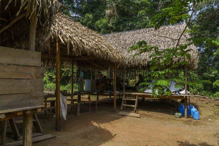 arapaima-angelreise-54