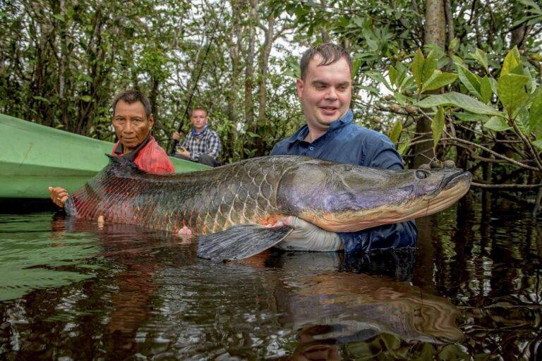 arapaima-angelreise-67